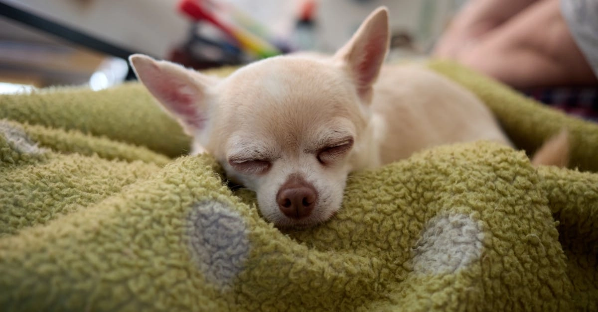 Программы лояльности казино без депозита для молодежи